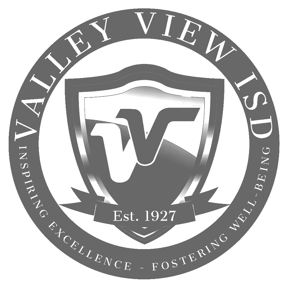 Valley View ISD (Hidalgo)