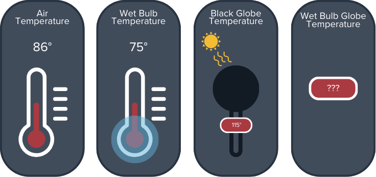 Black Bulb Temperature Sensors