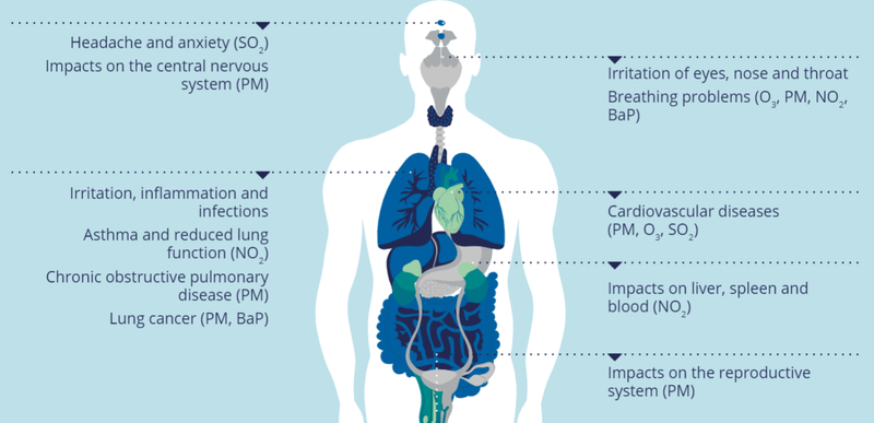 A list of affects that air pollution has on the human body, including: headaches; asthma; lung, eye and nose irritation and inflammation; lung cancer and chronic obstructive pulmonary disease; lung cancer; behavioral and mental disorders like anxiety and brain fog; and more.